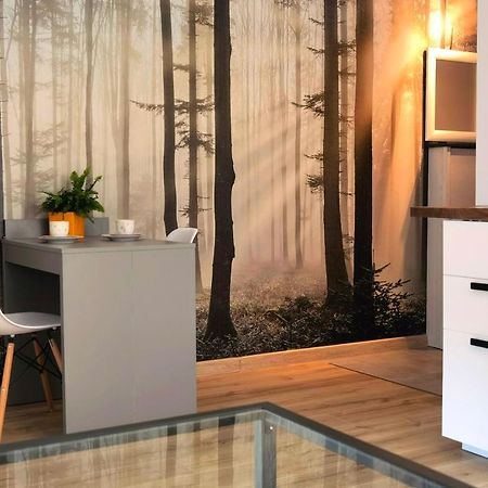 Apartament Sosnowa Pulawy Ngoại thất bức ảnh