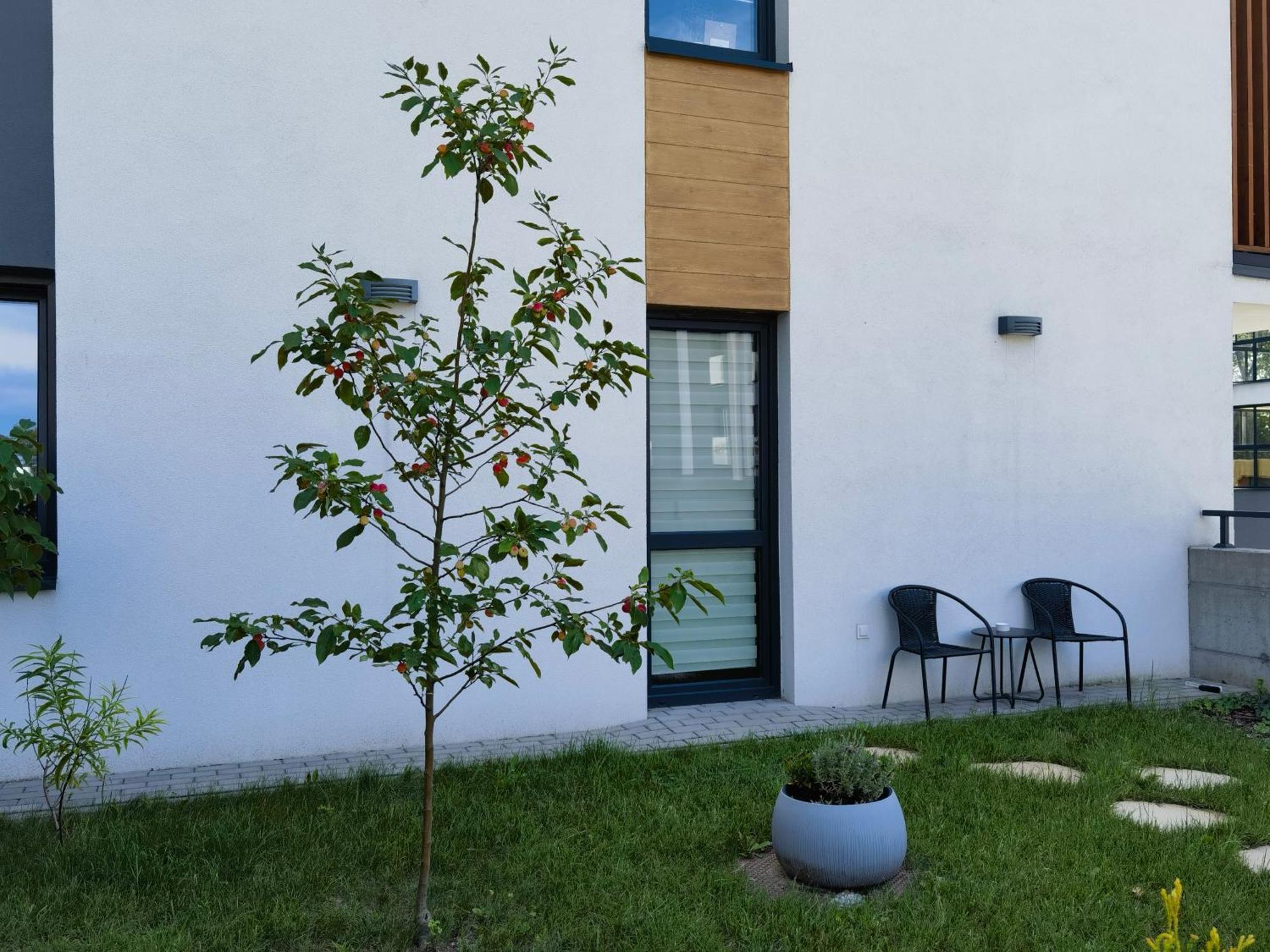 Apartament Sosnowa Pulawy Ngoại thất bức ảnh